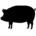porcino-iconinv