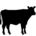 vacuno-iconinv
